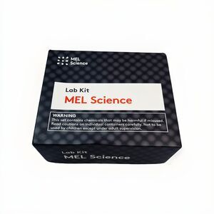 New MEL Lab Kit Ages 10+ Safety Glasses Pocket Stove Glass Beaker Flask & More